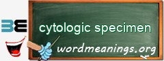 WordMeaning blackboard for cytologic specimen